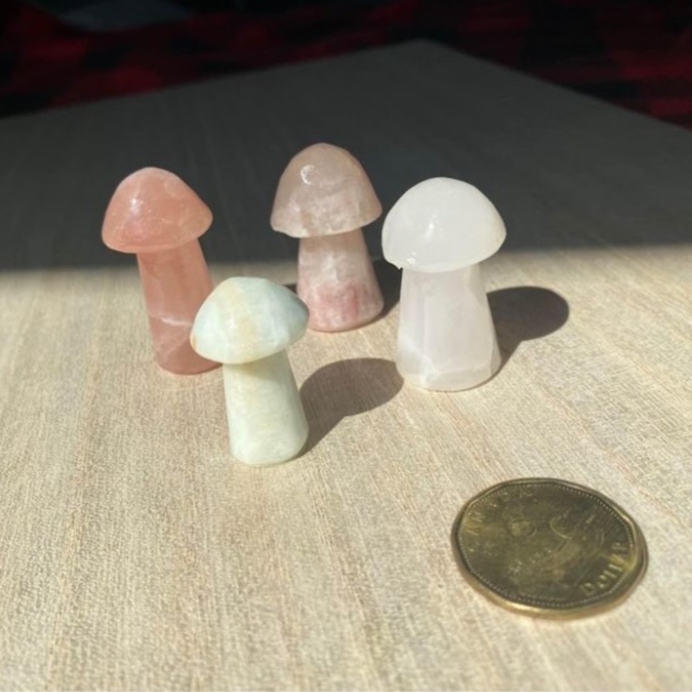 Calcite Crystal Mushroom Set